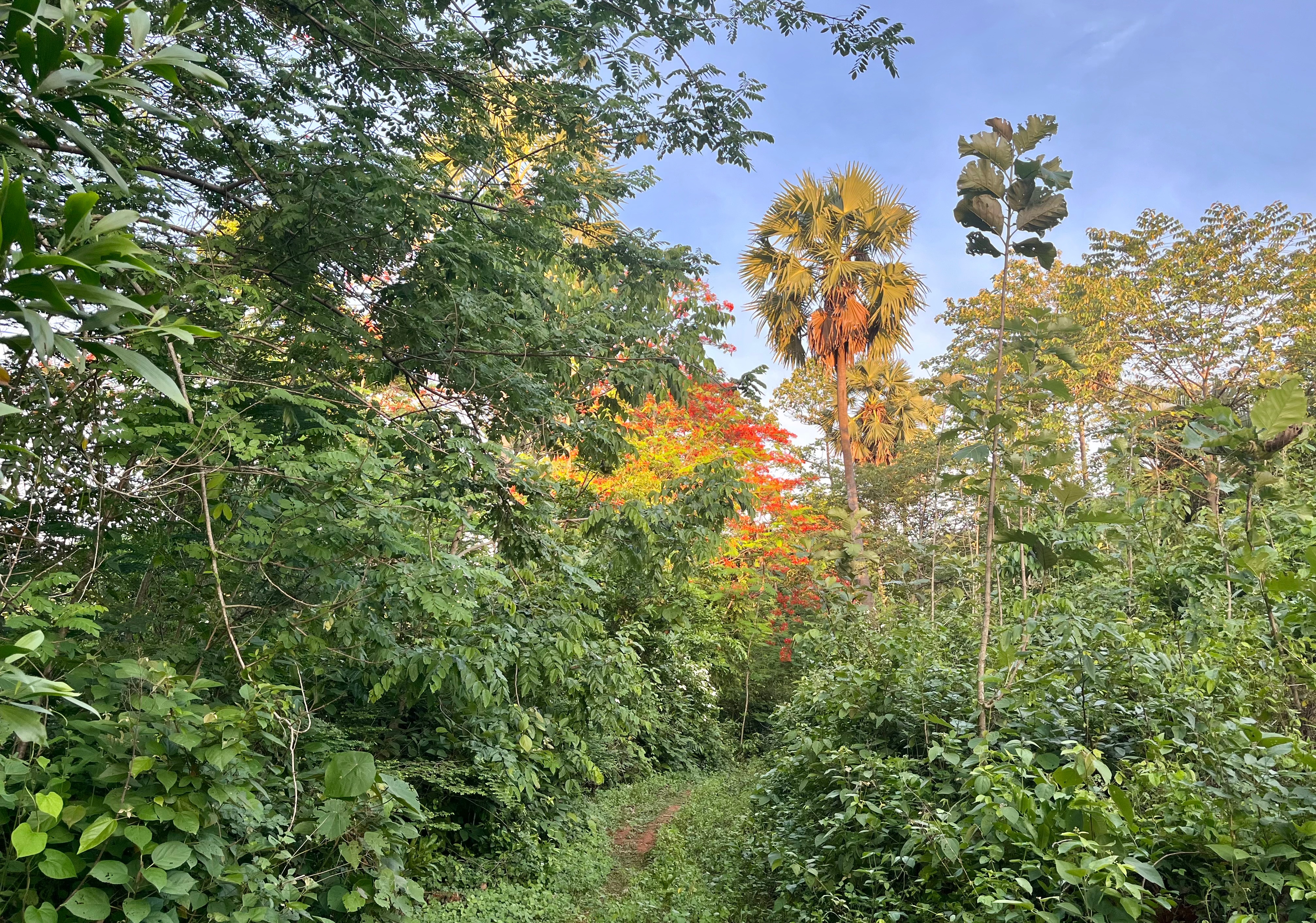 Valluvanad