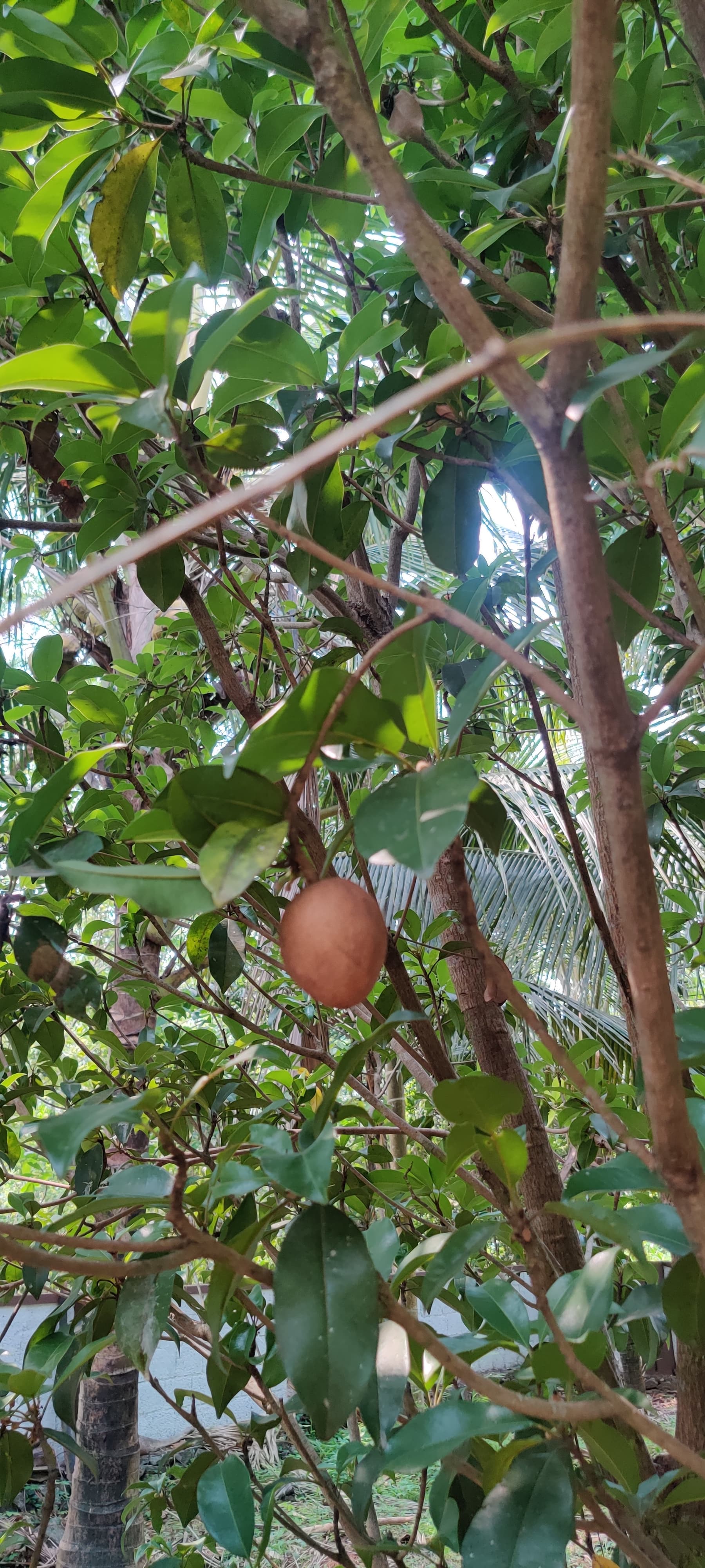 Farm produce